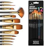 Professional Artist Paint Brush Set of 12 - Painting Brushes Kit for Kids, Adults Fabulous for Canvas, Watercolor & Fabric - for Beginners and Professionals - Great for Water, Oil or Acrylic Painting