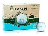 Dixon Wind Eco-Friendly Max Distance Golf Balls (1 Dozen)