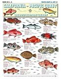 Saltwater Fish Identification Chart - Waterproof Quick Reference Fishing Guide - Species ID - (California - Pacific Coast) - Double-Sided & Easy to Read - Great Gift for Beginners