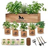Herblink Indoor Herb Garden Starter Kit, Unique Gifts 5 Herb Garden Planter Indoor Kit with Wooden Box Including Basil, Cilantro, Thyme, Parsley, Mint, Fresh Herb Garden, Gardening Gifts for Women
