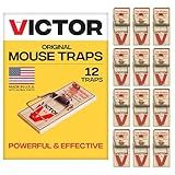 Victor Mouse Traps M150-12, Metal Pedal, Sustainably Sourced FSC Wood, Wooden Mouse Traps, 12 Metal Pedal Traps