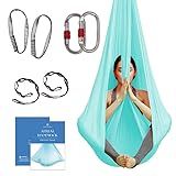 Aum Active Aerial Silk Yoga Hammock & Swing for Home, Inversion Exercises, Starter Kit for All Levels - Durable with Extension Straps, Carabiners, and Pose Guide
