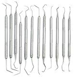 AAProTools 12 Piece Dental Probe Pick Tool Instrument Set Stainless Steel Scaler PR-296
