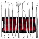 Dental Kit Tools, 10 Pack Stainless Steel Plaque Remover, Dental Tools to Remove Plaque and Tartar, Oral Care Kit with Plaque Cleaner, Tartar Pick, Tooth & Tongue Scraper for Dentist, Personal, Family