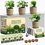 HOME GROWN Indoor Organic Herb Garden Kit – Unique Christmas Gift for Adults, Men, & Women - Grow 4 Herb Seeds for Kitchen Window Garden – Beginner DIY Hobby Gardening Gift for Plant Lovers, Mom & Dad