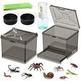 Spider Habitat Kit - Ready-to-Use Box for Small Insects,Dubia Roach, Cockroaches, Crickets, Scorpions, Centipedes, Mantises & Snails 3.74''x3.15''x3.35''(No Assembly Needed)