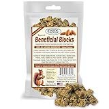 Exotic Nutrition Beneficial Blocks (10 oz.) - Healthy & Unique Supplemental Food with Nuts & Seeds for Squirrels