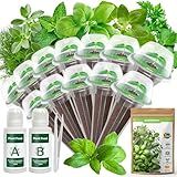 12-Pod Gourmet Herb Seed Kit Compatible with All Hydroponics- Basil, Parsley, Thyme, Mint, Cilantro, Dill, Oregano - Universal Seed Starter Pods Indoor Gardening (12-Pod)