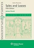 Sales & Leases, 5th Editon (Examples & Explanations)