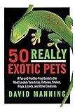 50 Really Exotic Pets: A Fur-and-Feather-Free Guide to the Most Lovable Tarantulas, Tortoises, Snakes, Frogs, Lizards, and Other Creatures