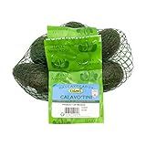 Small Avocados, 6 Ct