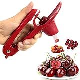 Cherry Pitter Tool, Heavy-Duty Stainless Steel Pitting Tool, Portable Cherries Corer Stoner Seed Tool with Lock Design, Fruit Pit Remover for Cherry Jam (Red)