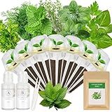 Gourmet Herbs Seed Pod Kit for AeroGarden, iDoo, Ahopegarden, MUFGA Hydroponics Garden with Basil, Parsley, Thyme, Mint, Cilantro, Dill, Oregano - Compatible with All Hydroponics (7-Pod)