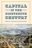 Capital in the Nineteenth Century (National Bureau of Economic Research Series on Long-Term Factors in Economic Development)
