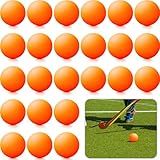 Poen 24 Pcs Street Hockey Balls Outdoor Field Minimal Bounce Roller Hockey Balls Durable, Low-Bounce, for Kids Boys Youth Adult Weather-Resistant Design for Street Sports Game Competition
