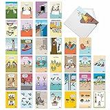 NobleWorks - 36 Assorted Funny Birthday Cards Bulk Box Set with Envelopes, Rich Humor Cartoons Greeting Card Variety Pack for Men and Women (36 Designs, 1 Each) - Celebrations AC7741BDG-B1x36