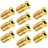 10 Pieces Brass Pool Cover Anchors Screws Pool Safety Cover Anchor Replacement Kit, Heavy Duty Pool Cover Anchors Concrete