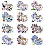 Obisesio Scented Candles Gift Set, Candles for Home Scented 12 Pack, 300 Hours Long Lasting Soy Wax Aromatherapy Candle Set, Friends Moving Away, Birthday, Retirement Gifts for Women with Gift Box