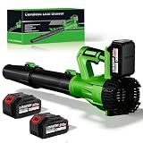 21V Cordless Leaf Blower with 2 Pack 6.0Ah Batteries, Black Green