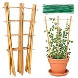 Bamboo Trellis, 12pack 16 Inch Small Plant Wood Bamboo Trellis for Climbing Plants Indoor Potted Plants