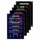 Trading Chart (Set of 5) Posters, 350 GSM Candlestick Pattern Cheat Sheet, Trade Setup Kit for Stock, Forex and Crypto Market (30 x 21 CM, Unframed)
