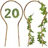 WUWEOT 20 Pack Min Bamboo Trellis, 16 in Loop-Shaped Plant Support Hoop Stake for Potted Plants Climbing, Hoya Plants Ivy Plants Monstera Cucumber and Fruits