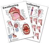 Blue Tree Publishing Swallowing anatomy education With QR Codes to see active animation (A4 laminated chart)
