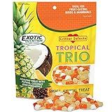 Tropical Trio - Healthy Natural Mixed Dried Fruit Treat - Papaya, Coconut, Pineapple - for Sugar Gliders, Squirrels, Prairie Dogs, Skunks, Marmosets, Parrots, Birds, Rats, Small Pets (4.5 oz.)