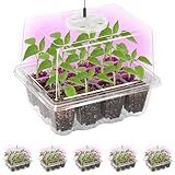Bonviee 5 Packs Seed Starter Tray with Grow Light, Elevated Seedling Starter Trays Kits with Adjustable Humidity Domes and Clear Cell Tray, 12 Full Spectrum led lamp Beads for Plants Indoor-Clear
