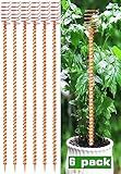 6 Pack 13" Electroculture Copper Gardening Antenna, Copper Garden Plant Stakes, Pure Coppers Rods for Garden, Electro Culture Gardening Coppers Coils Wire Tools, Pyramid Tensor Rings Kit
