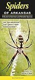 Spiders of Arkansas A Guide to Common & Notable Species