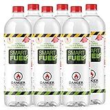 SMART FUEL 6 Liter Pack- Indoor/Outdoor Fireplace Fuel- Ultra Pure Safety Pour Technology- Toxic Free, Planet Friendly, Ethanol for Indoor and Outdoor Burning