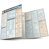 Microeconomics QuickStudy Laminated Reference Guide