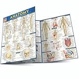 Anatomy: QuickStudy Laminated Reference Guide (Quickstudy Academic)