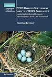 WTO Dispute Settlement and the TRIPS Agreement: Applying Intellectual Property Standards in a Trade Law Framework (Cambridge International Trade and Economic Law Book 24)