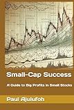 Small-Cap Success: A Guide to Big Profits in Small Stocks