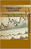 Small-Cap Success : A Guide to Big Profits in Small Stocks