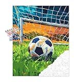 Soccer Paint by Numbers Kit for Adults, Paint by Number Soccer Ball, Soccer Ball in Goal Wall Art, Balls Sports Home Wall Decor - Soccer Court Green Grass Landscape(16x20inch)