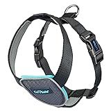 CarSafe Dog Travel Harness - Safely Secure Dog in car, ensures Road Laws and Insurance Terms When Travelling with Your pet. for Toy, Small, Medium and Large Dogs (Size X-Small)