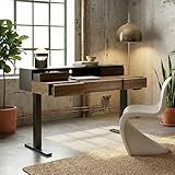 ErGear Electric Standing Desk with 5 Solid Wood Drawers, 48 x 26 Inches Whole Piece Desktop, with Desktop Riser Stand, Compatible with C-Clamp Monitor Arms, Modern Office Desk, Dark Walnut