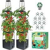MQHUAYU 2Pack Raised Garden Bed Planter Box with Trellis, 57" Self-Watering Tomato Cage Planters for Climbing Plants Vegetable Vine Flowers Outdoor & Indoor (57x9.8x9.8IN)