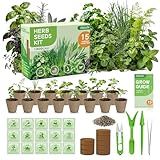 Herb Seeds Variety Pack – Fruivity 12800+ 15 in 1 Heirloom Seed Kits for Indoor/Outdoor Planting | Herb Indoor Garden Kit Starter - Complete Herb Garden Starter Set with Gift Packaging for Family