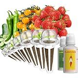 LYKOCLEAN Fruit Seed Kit for AeroGarden, iDOO Hydroponics Growing System Indoor Gardening, 7-Pod, Red Strawberry, Golden Cherry Tomato, Green Pepper, Cucumber, Dwarf Pea, Ruby QueenBeet, 350+ Seeds