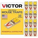 Victor Mouse Traps M035-12, Plastic Pedal, Sustainably Sourced FSC Wood, Wooden Mouse Traps, 12 Pack