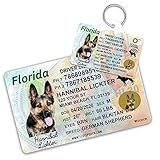 Florida Driver License Custom Dog Tag for Pets and Wallet Card - Personalized Pet ID Tags - Dog Tags for Dogs - Dog ID Tag - Personalized Dog ID Tags - Cat ID Tags - Pet ID Tags for Cats