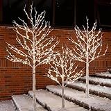 TYBEEU Lighted Birch Tree Set (4ft, 6ft & 8ft) – Total 512 Warm White LED Lights (96/160/256), Realistic Design, Dimmable, Indoor & Outdoor Decor for Home, Garden, Wedding, Christmas & Holiday