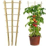Taoskai 10 Pack 3 Feet Natural Bamboo Trellis, Fan-Shaped Bamboo Plant Trellis for Climbing Plants, Vegetables, Cucumber, Tomato, Outdoor and Indoor Potted Plants