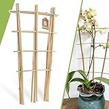5 Pack 16" Bamboo Trellis for Climbing Plants-Natural Garden Ladder Fan -Shaped Plants Support Trellis for Potted Plant Decor in Door