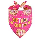 Agroon Dog Birthday Bandana Girl Pink Large 1PCS, Durable Triangle Reversible Scarf Bibs Handkerchief for Puppy Pet