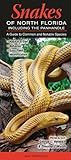 Snakes of Northern Florida including the Panhandle: A Guide to Common & Notable Species